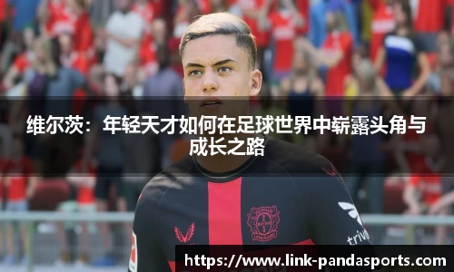 熊猫体育官方网站
