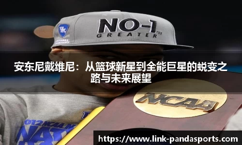 熊猫体育