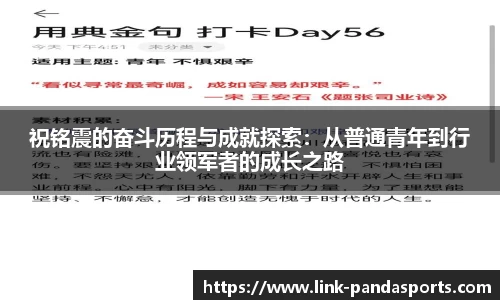 熊猫体育