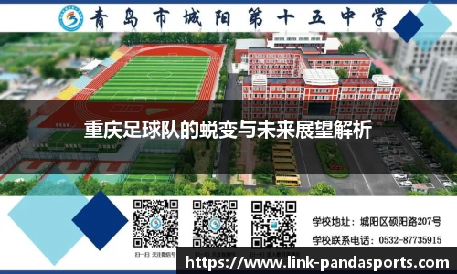 熊猫体育官网